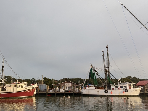 A small wooden restaurant built above the waterway on a supported wooden structure. It is early dawn and there are two fishing boats in front of the building on the waterway.