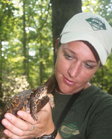 Box turtle with Wildlife staff