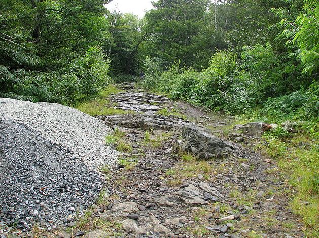 Trail in Elk Knob State Park. "Elk Knob NC SP 0933," photograph by bobistraveling, May 22, 2011.  On Flickr.  Used under Creative Commons License CC BY 2.0.