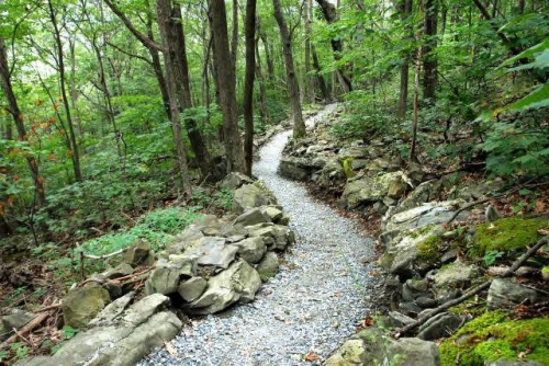 Trail to Summit, Elk Knob State Park. Photograph by Charlie Peek, September 16, 2011. From the North Carolina State Parks Collection, NC Digital Collections.