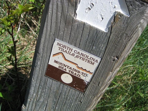 Mountains-to-Sea trail signpost on the Blue Ridge Parkway. Photograph by Omarcheeseboro, May 21, 2008. Used under Creative Commons License CC BY-SA 3.0, from Wikimedia Commons.