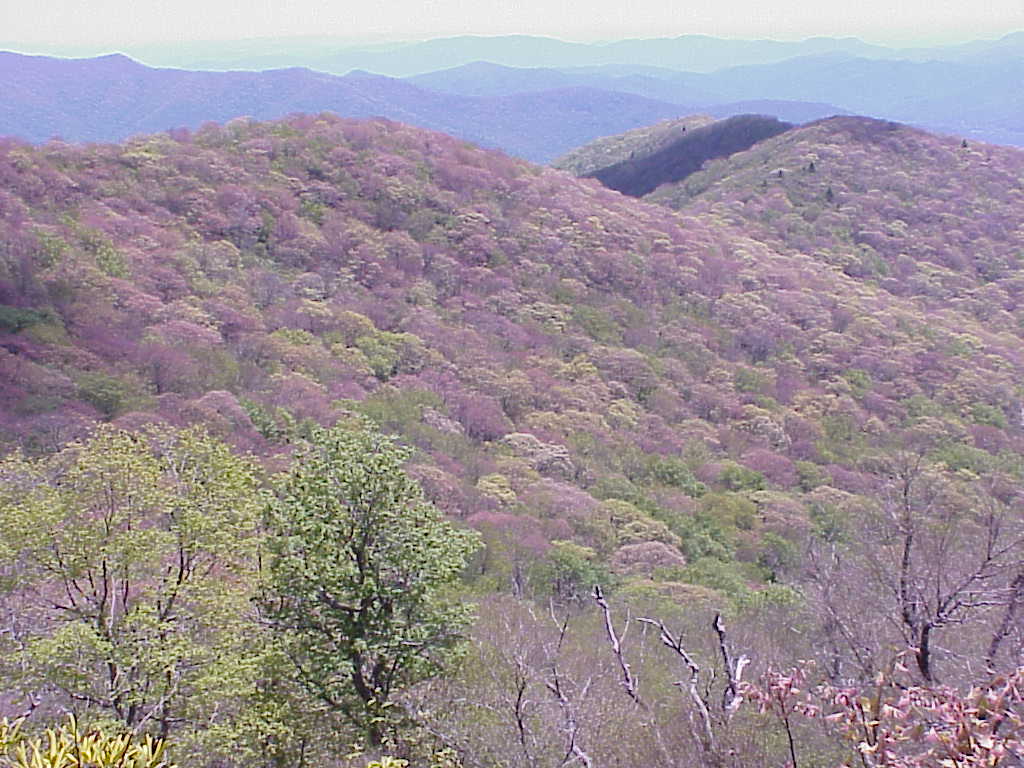 The Blue Ridge Mountains