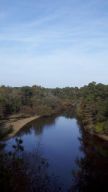 "Neuse River Cliffs of the Neuse." The Coree Indians Lived along the Neuse. Photo courtesy of Flickr user bobistraveling, uploaded October 30, 2010. 