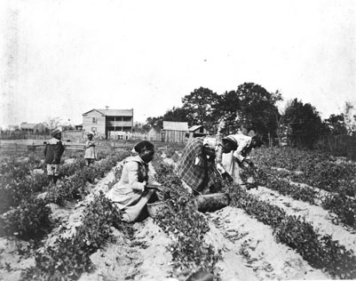 From the General Negative Collection, North Carolina State Archives, call #: N_83_7_30, Raleigh, NC.